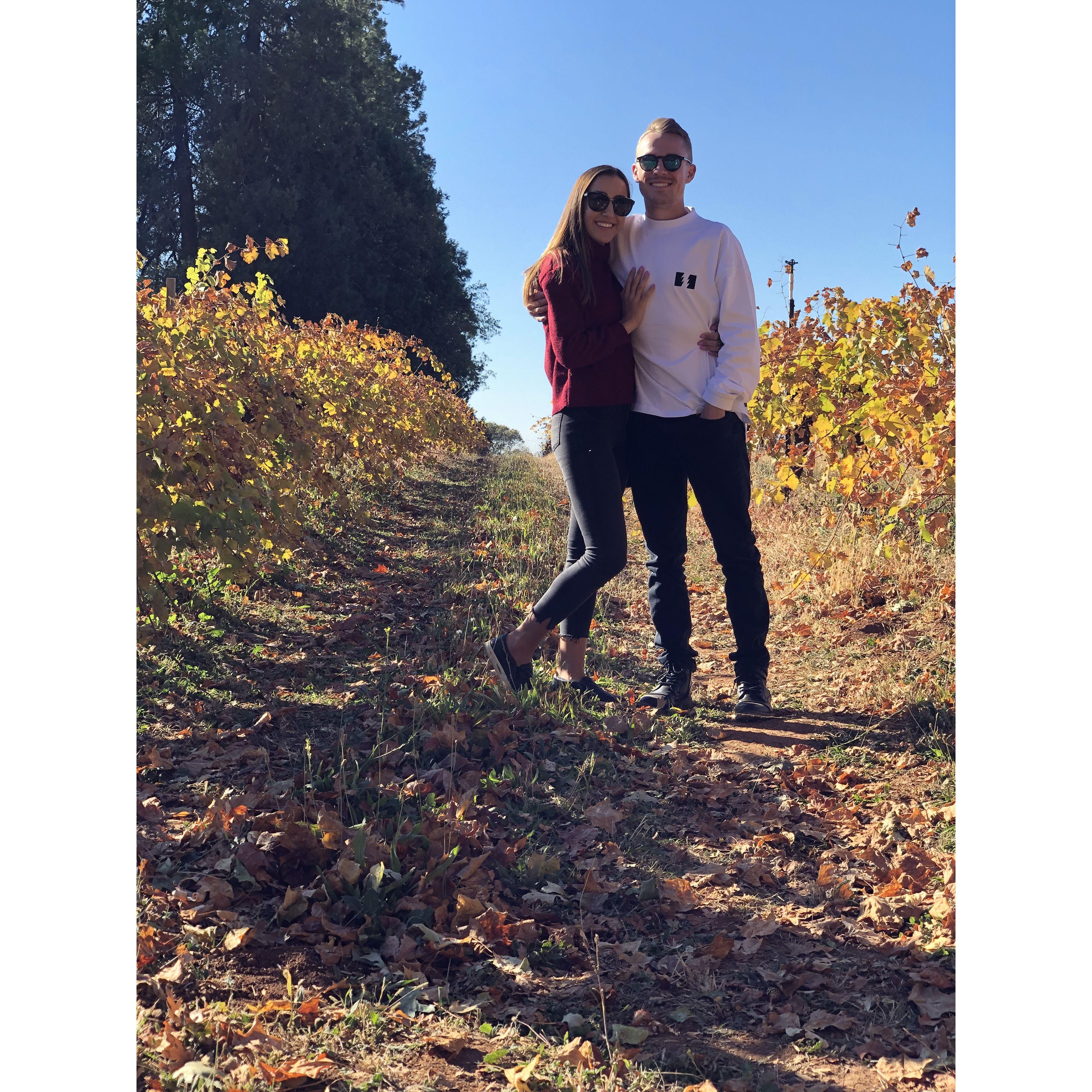 2019 Apple Hill