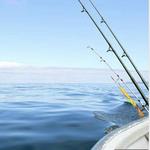 Fishing Charters