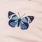 Blush Butterfly