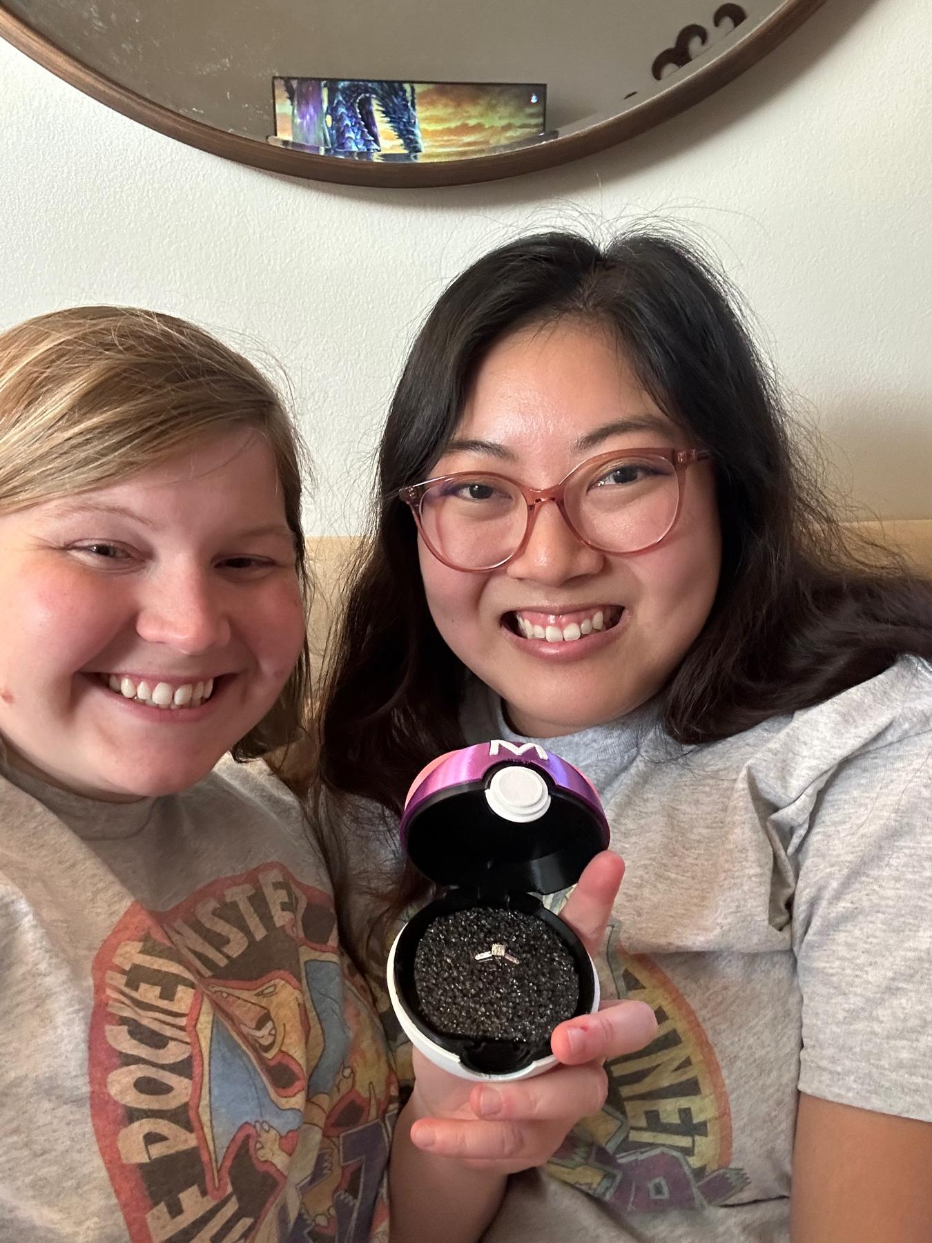 Sarah’s proposal