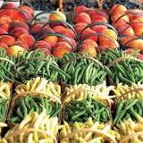 Shelburne Farmers Market