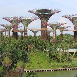 Tickets to Singapore Exhibits