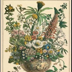 'December' Poster - Robert Furber with Wood Mount | AllPosters.com