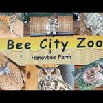 Bee City Zoo & Honey Bee Farm
