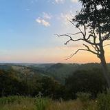 Trexler Nature Preserve