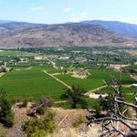 Gehringer Brothers Estate Winery