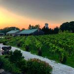 Cape May Winery