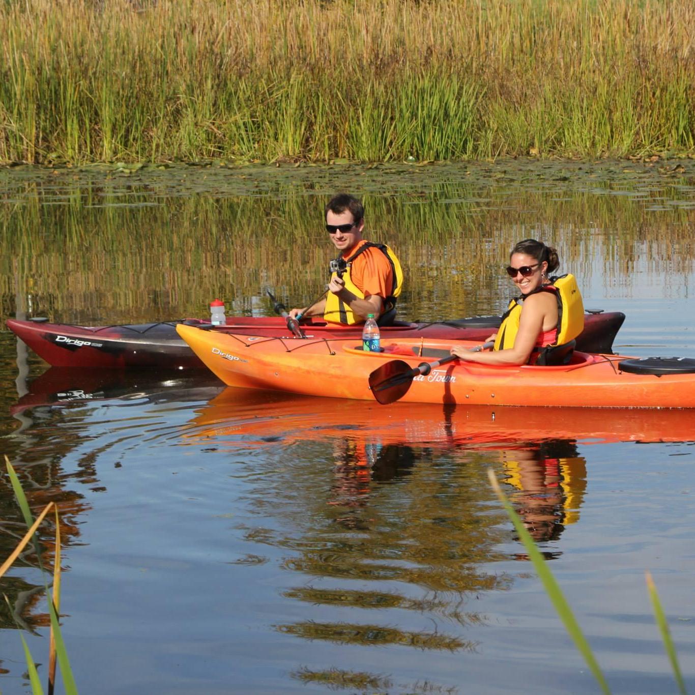 We now kayak separately. To find out why, just ask one of us about kayaking in the frigid Milford Sound.