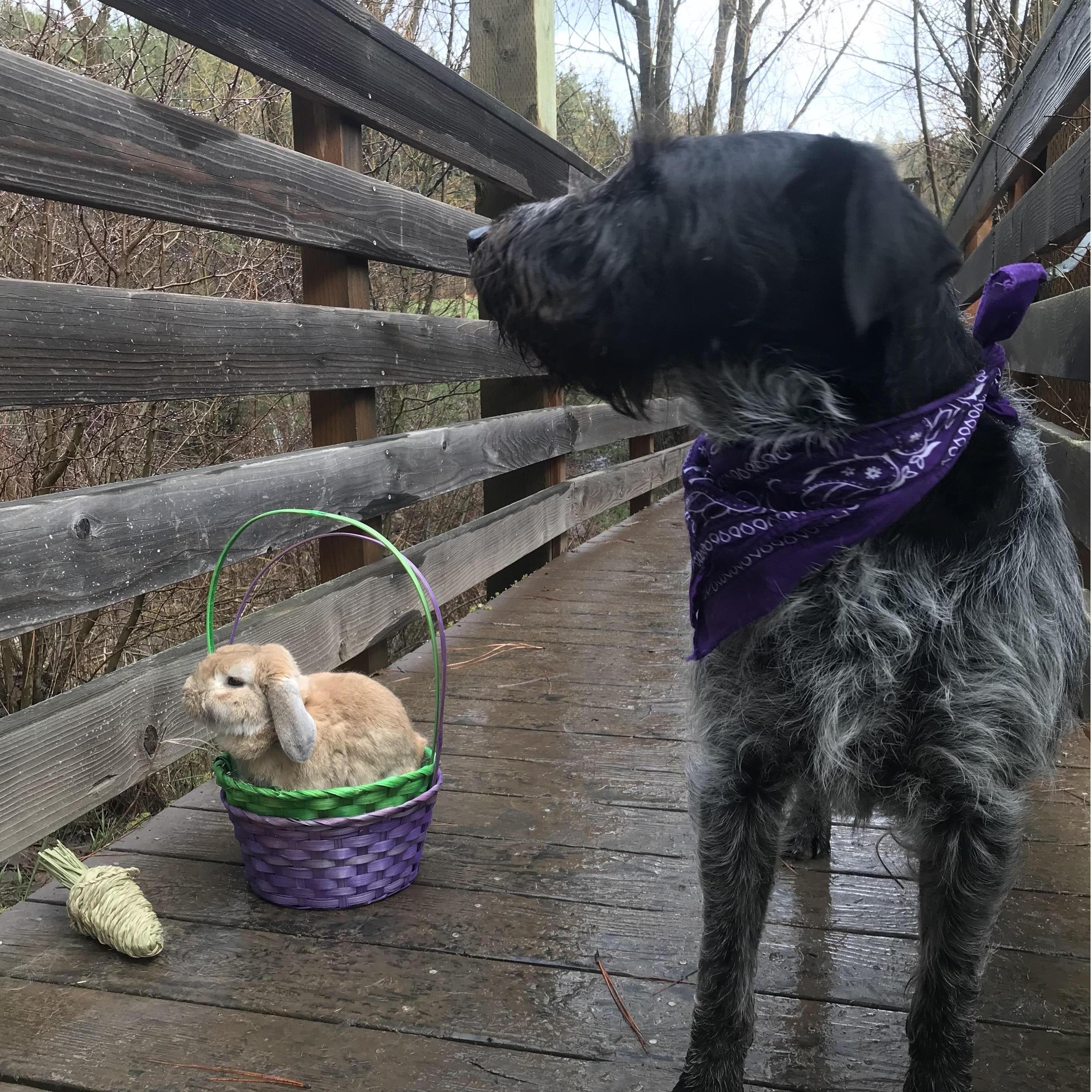 'get my good side' - Easter 2018