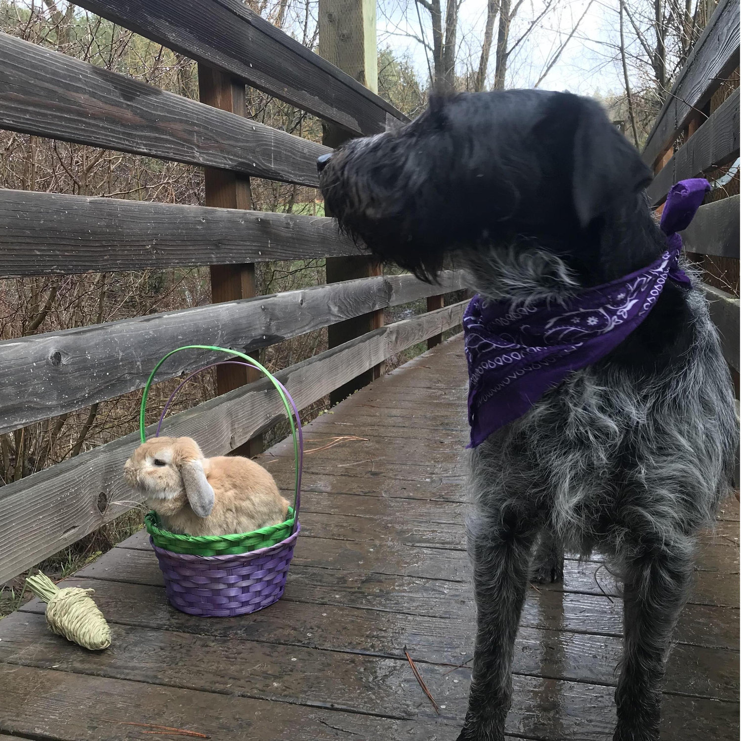 'get my good side' - Easter 2018