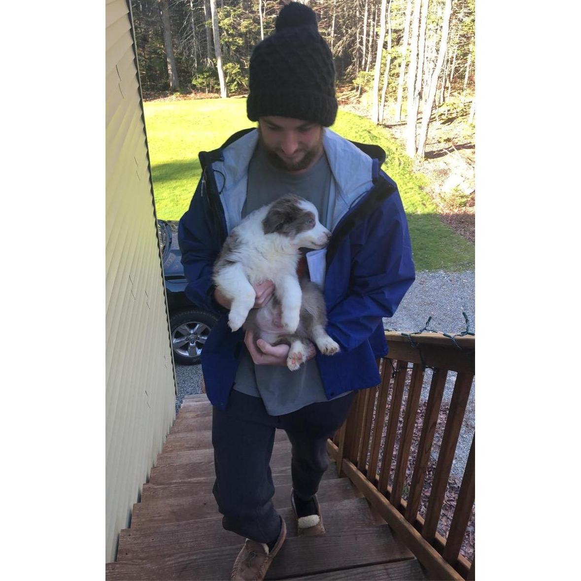 Moose arriving home!