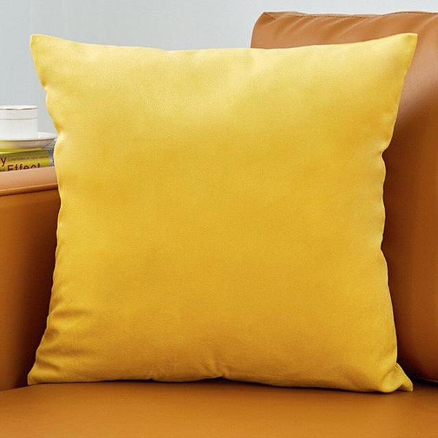 Sims Square Velvet Pillow Cover & Insert (Set of 2)