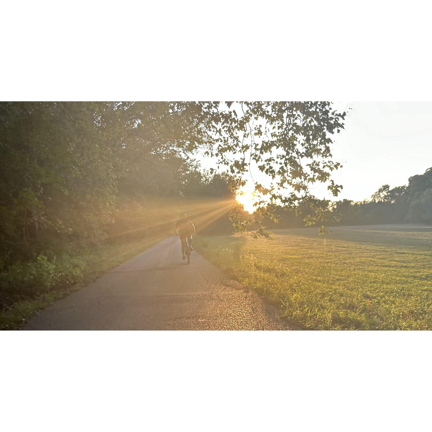 One of our bike rides...
