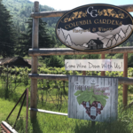 Columbia Gardens Vineyard & Winery