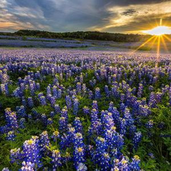 3 Night Stay In Fredericksburg, TX