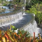 Naples Botanical Garden
