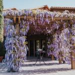 Bennett Lane Winery
