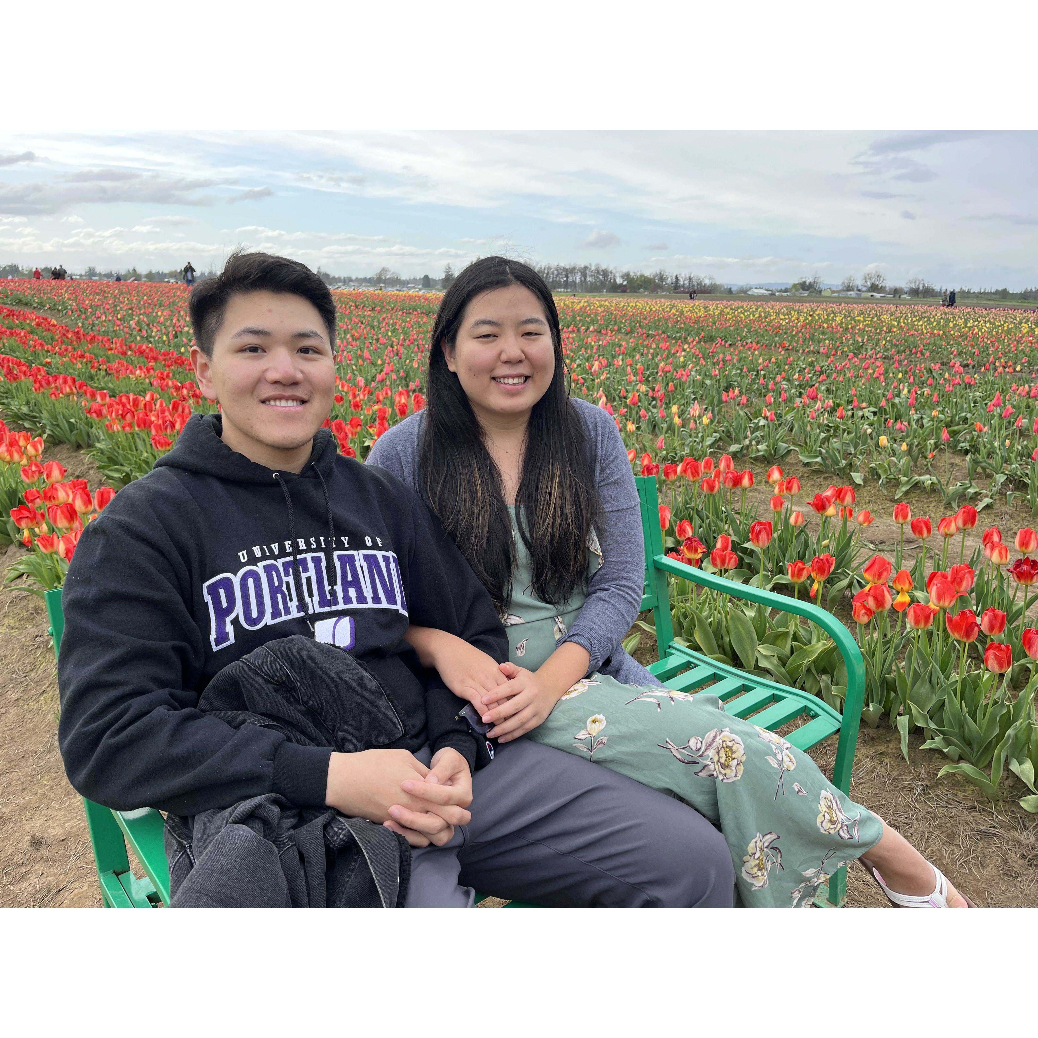 Saw the lovely Tulips
