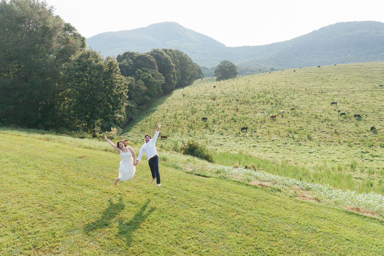 The Wedding Website of Rebecca Meline and Joseph Brickman