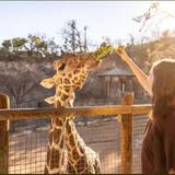 San Antonio Zoo