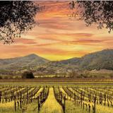 Napa Valley
