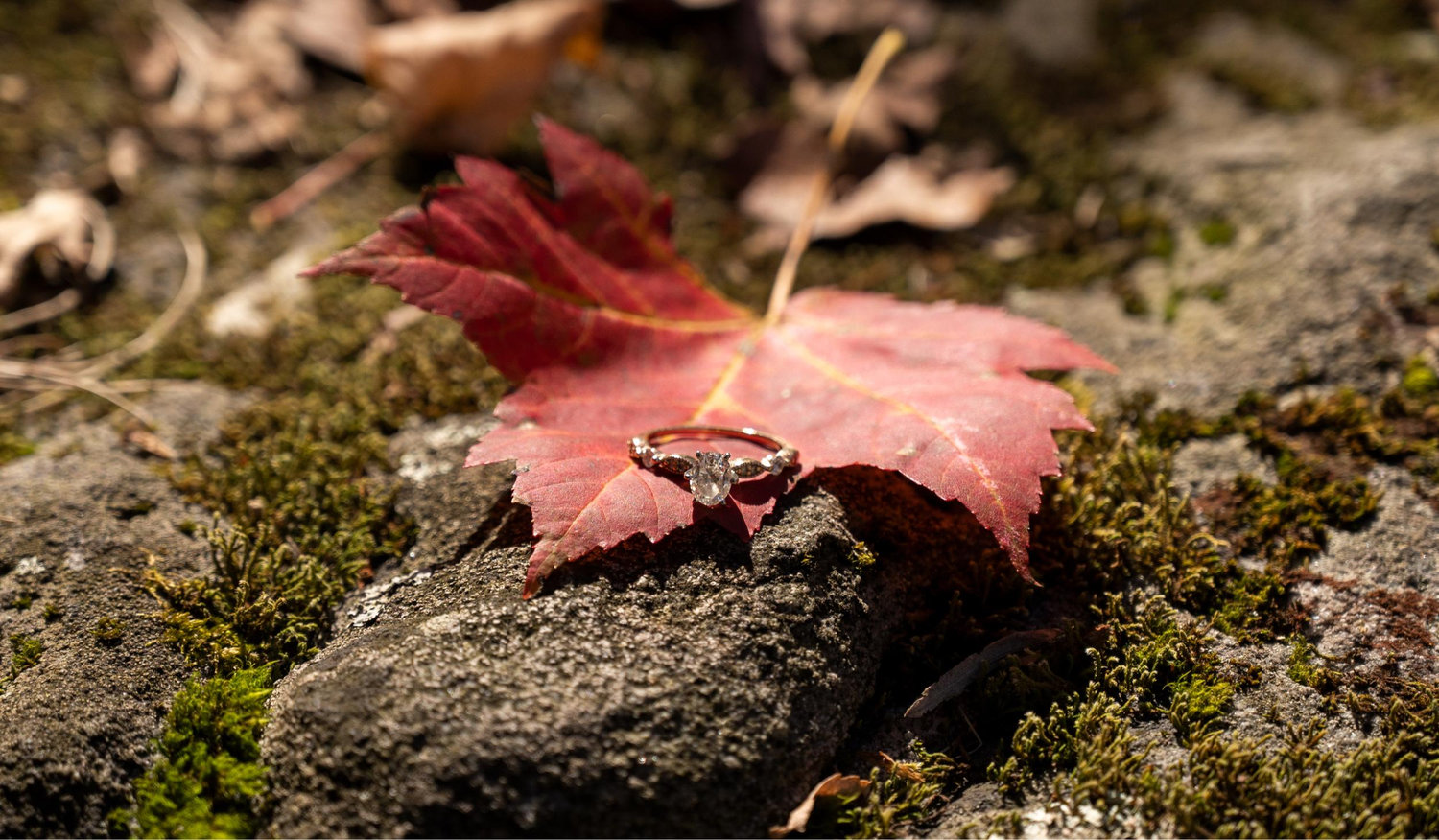 Footer image