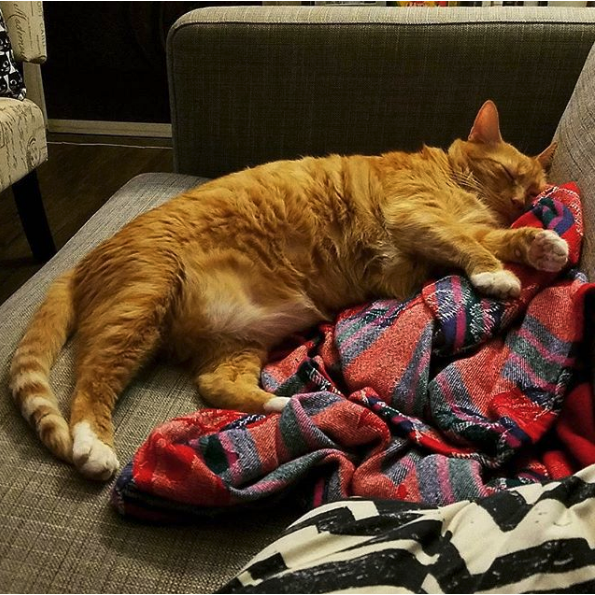 Conan sleeping on his favorite Guatemalan blanket