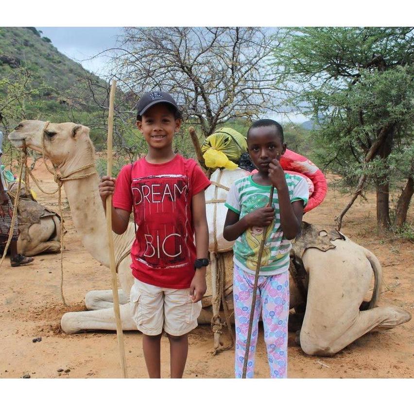 Camel, Kenya 2018-19