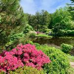 Mt Desert Land & Garden Preserve
