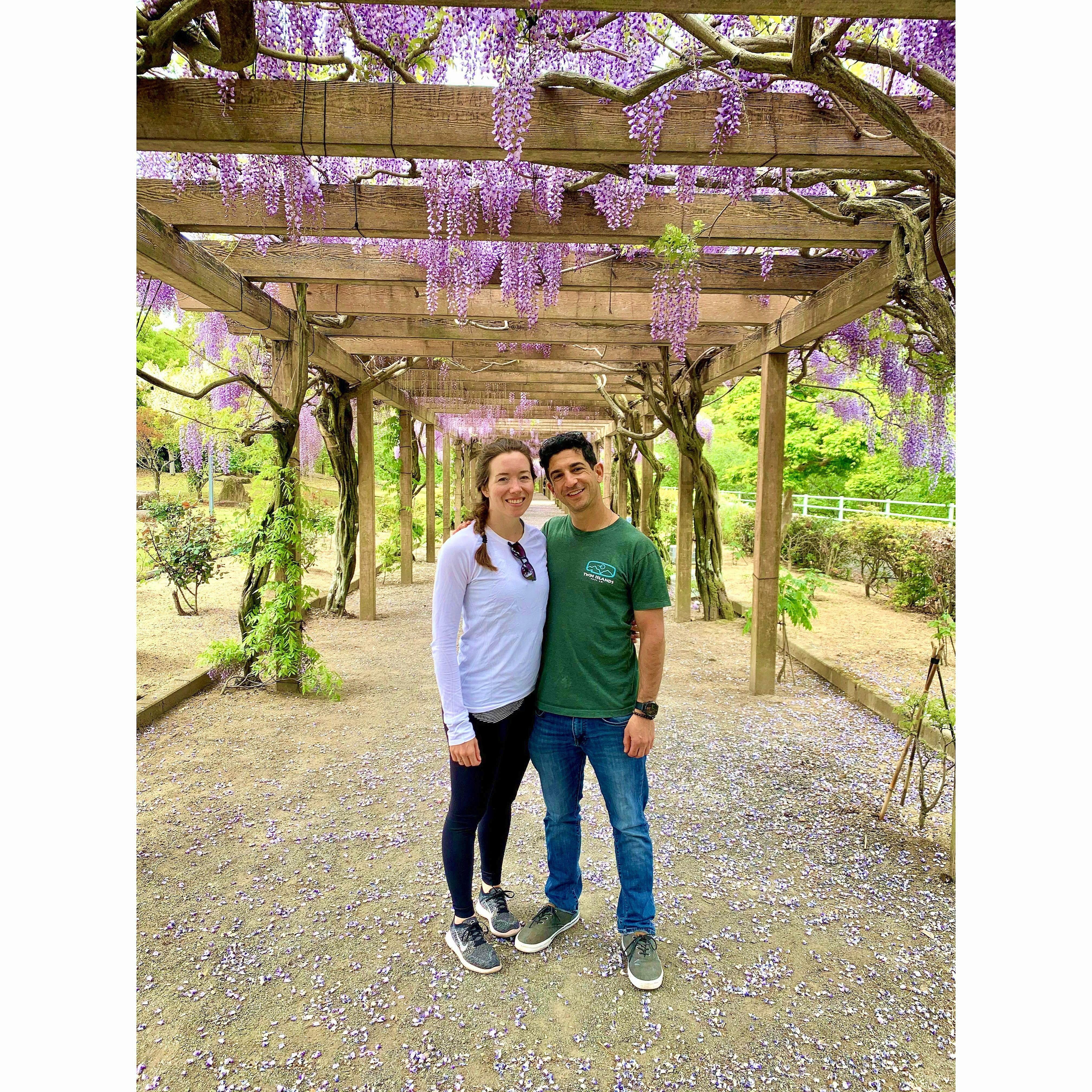 Stopping to smell the flowers along a bike ride near Hiroshima