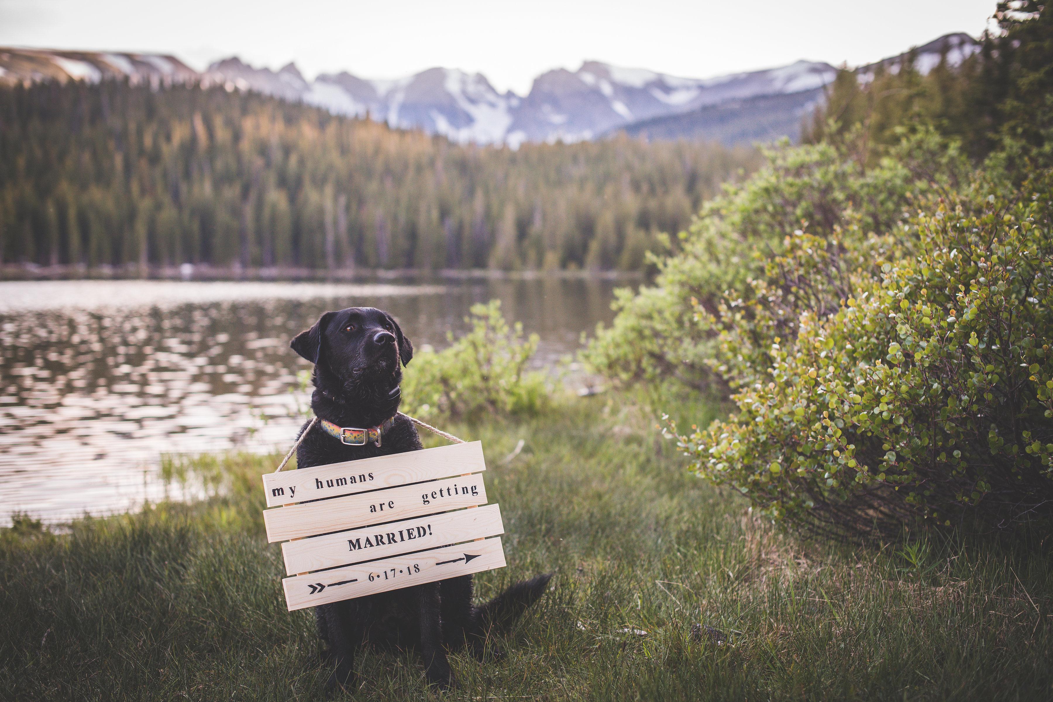 The Wedding Website of Robyn Perez and Matt DePan