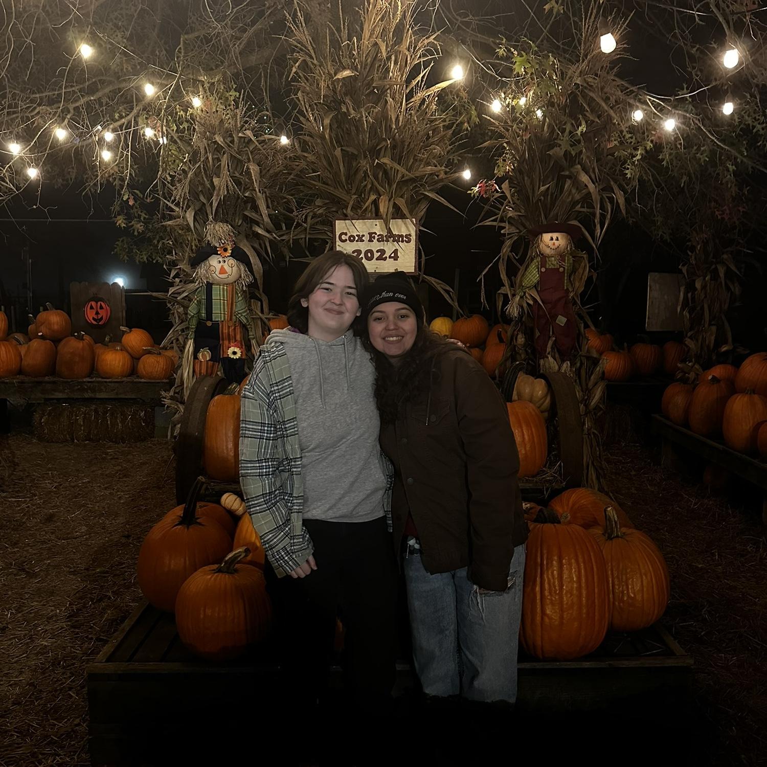 Cox Farms 2024