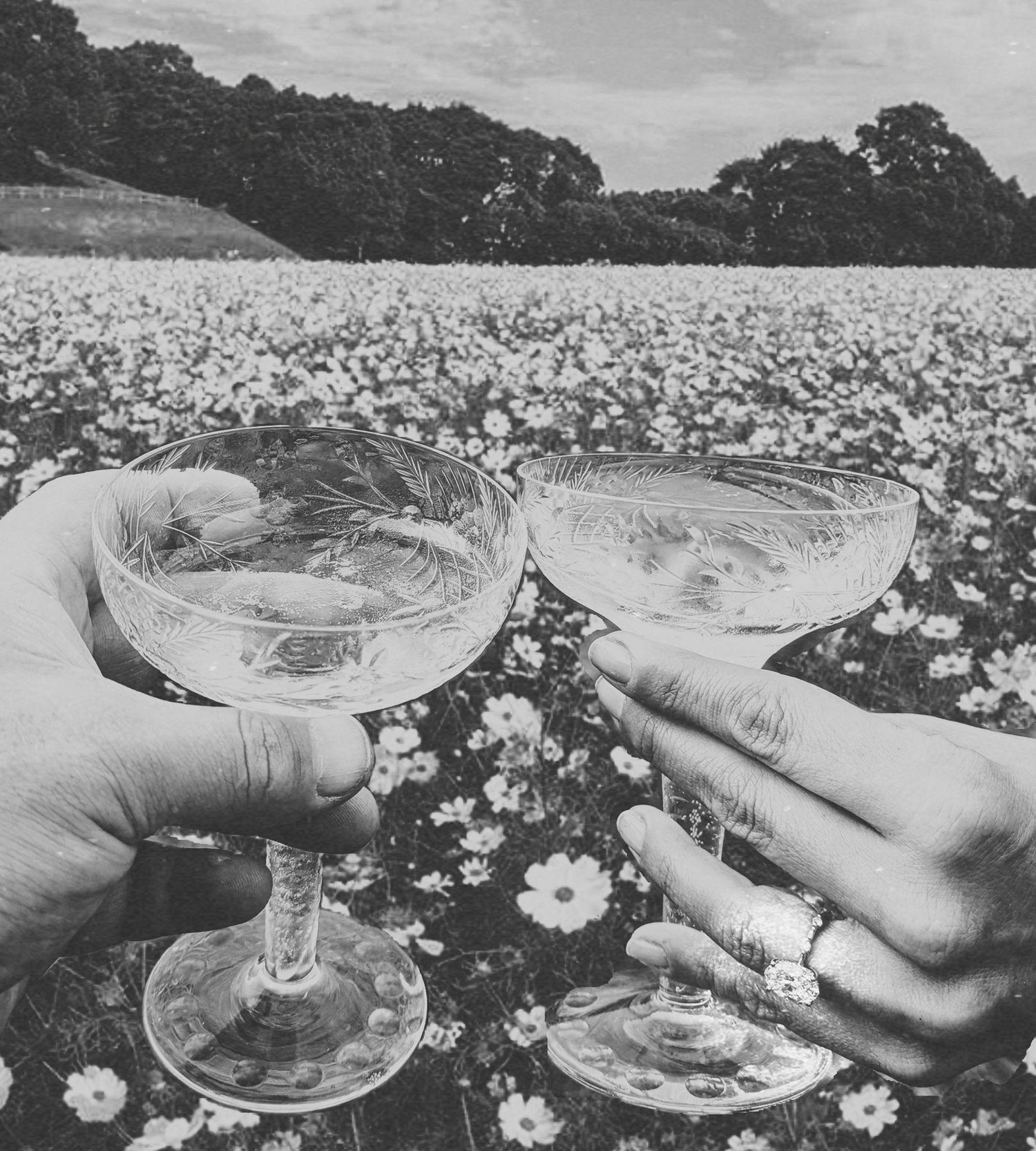 The Wedding Website of Amanda Saya and Shawn Stascheit