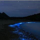 Bahía Bioluminiscente