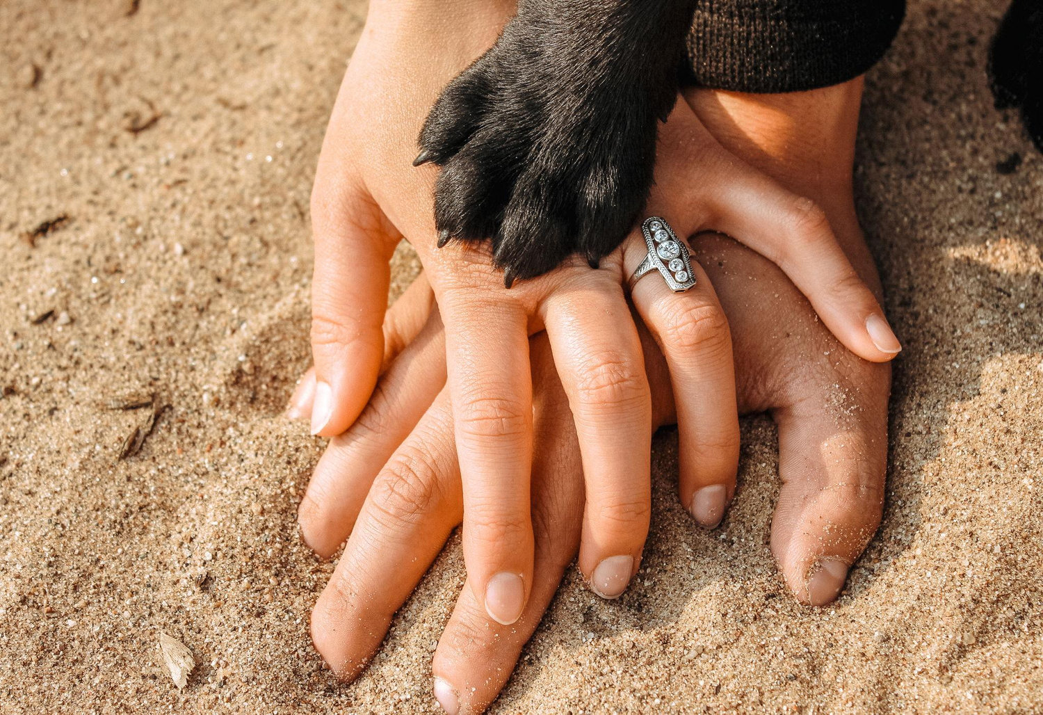 The Wedding Website of Megan Farrell and Tate Olson