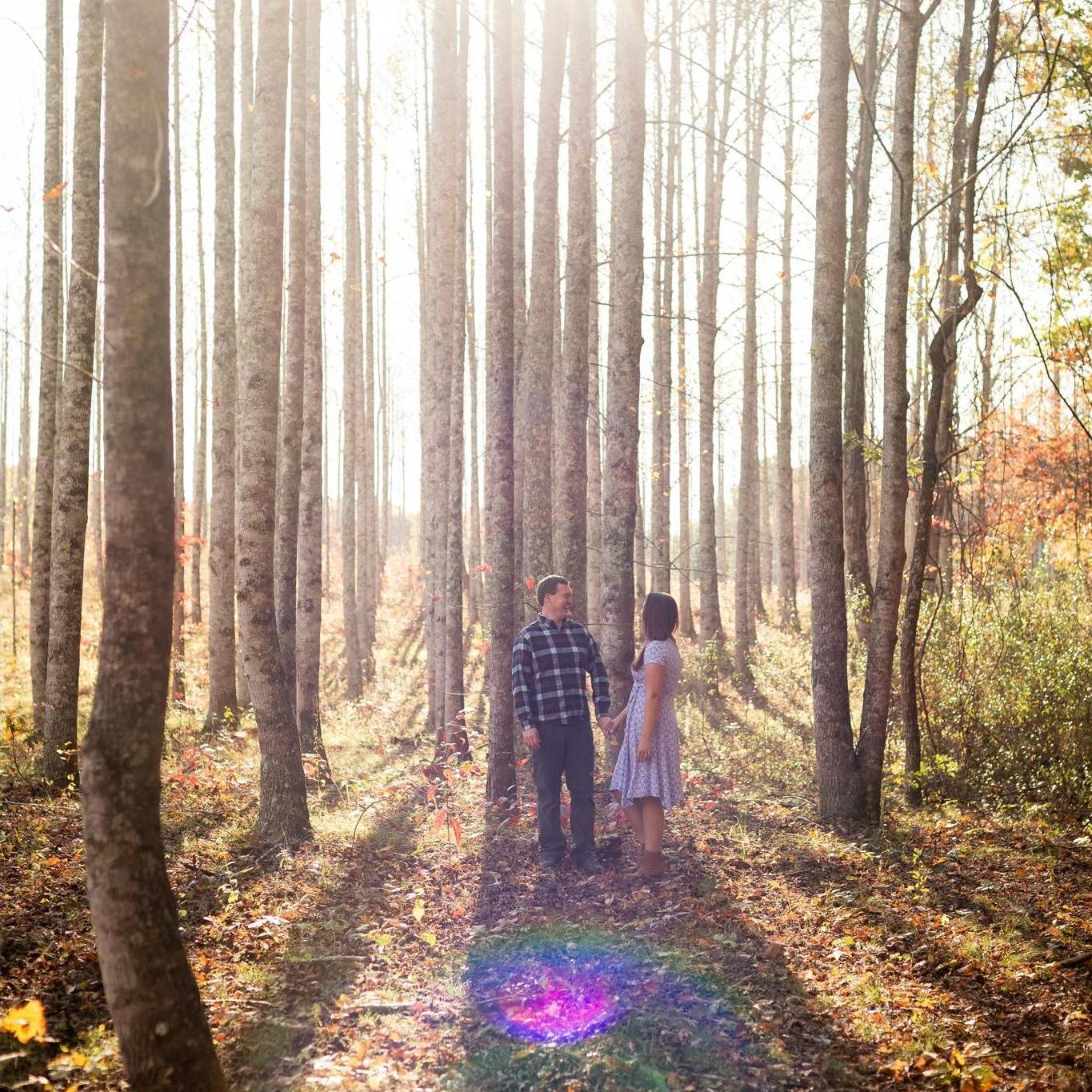 Prentice Cooper State Forest - November 2019