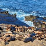 Seal Rock