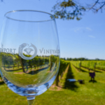 Newport Vineyards