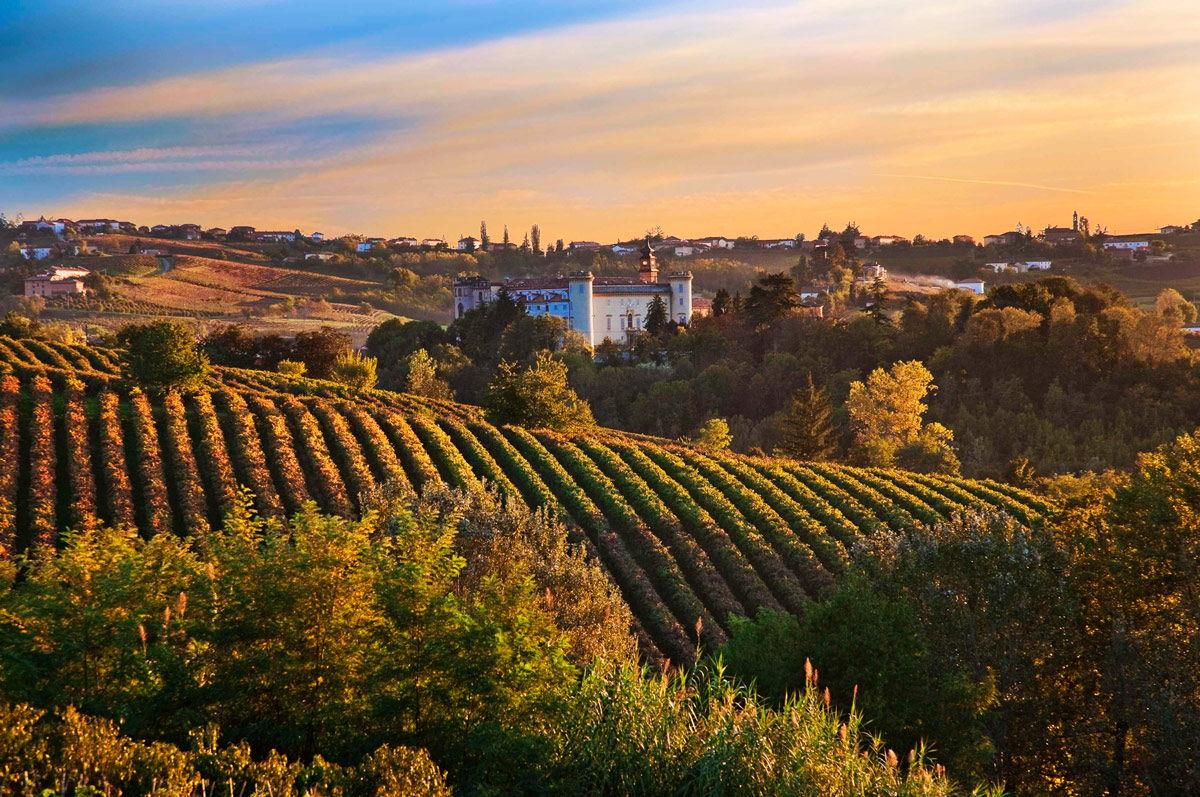 The Wedding Website of Courtney Foster and MacHenry Wiesner