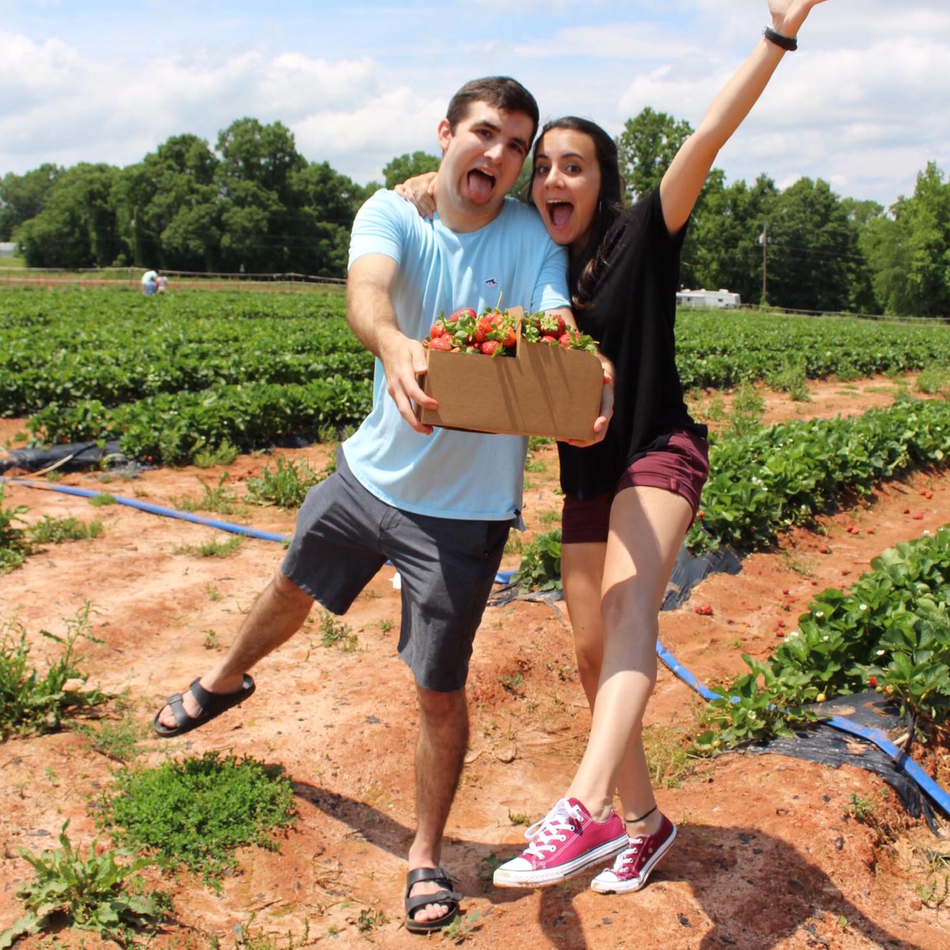 Strawberry pickin’!