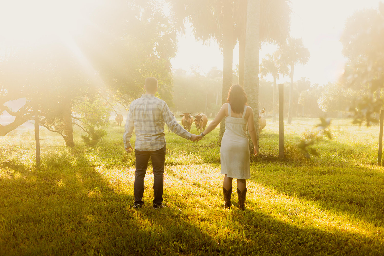 The Wedding Website of Jaylin Behovitz and Tanner Gidley