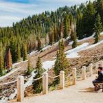 Drive Guardsman Pass Road