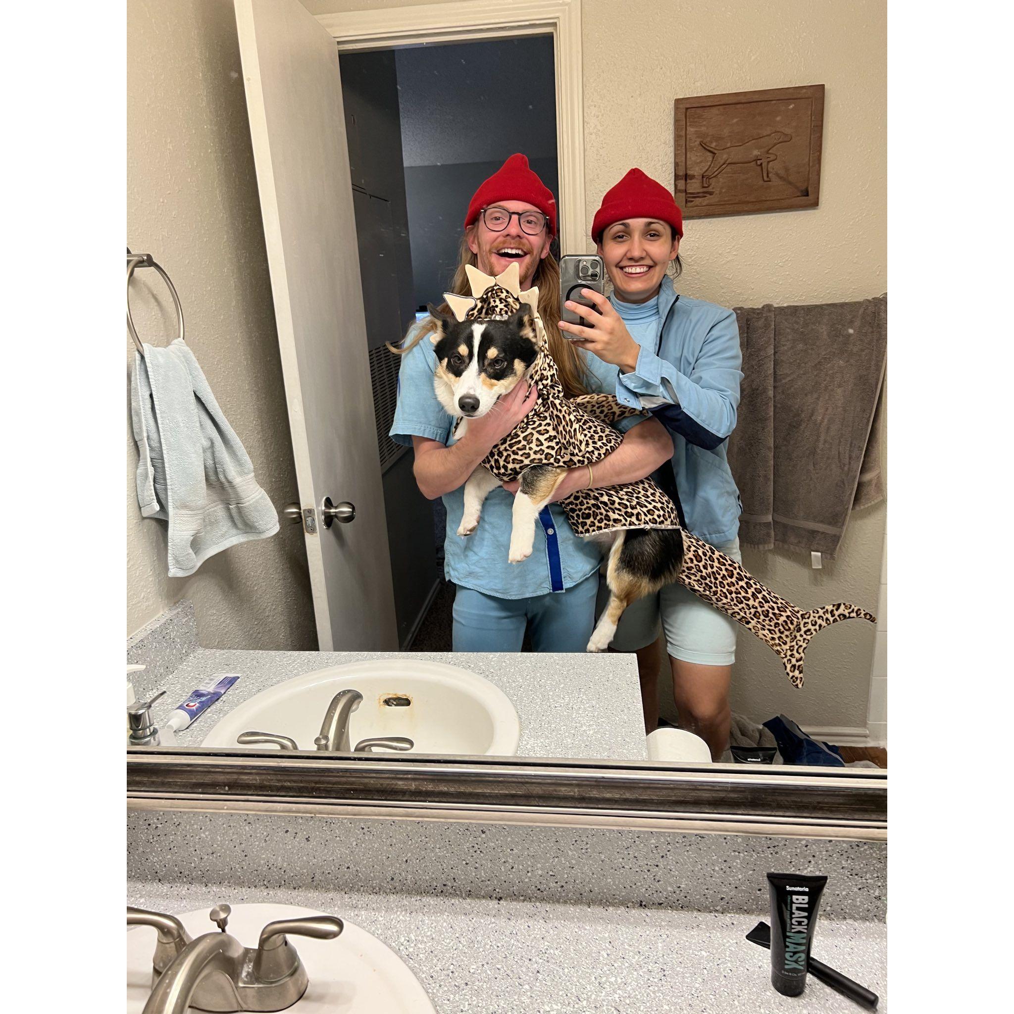 Life Aquatic: Steve, Klaus, and the Elusive Tiger Shark Halloween 2022