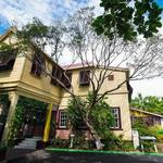 Bob Marley Museum