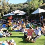 Malibu Wines