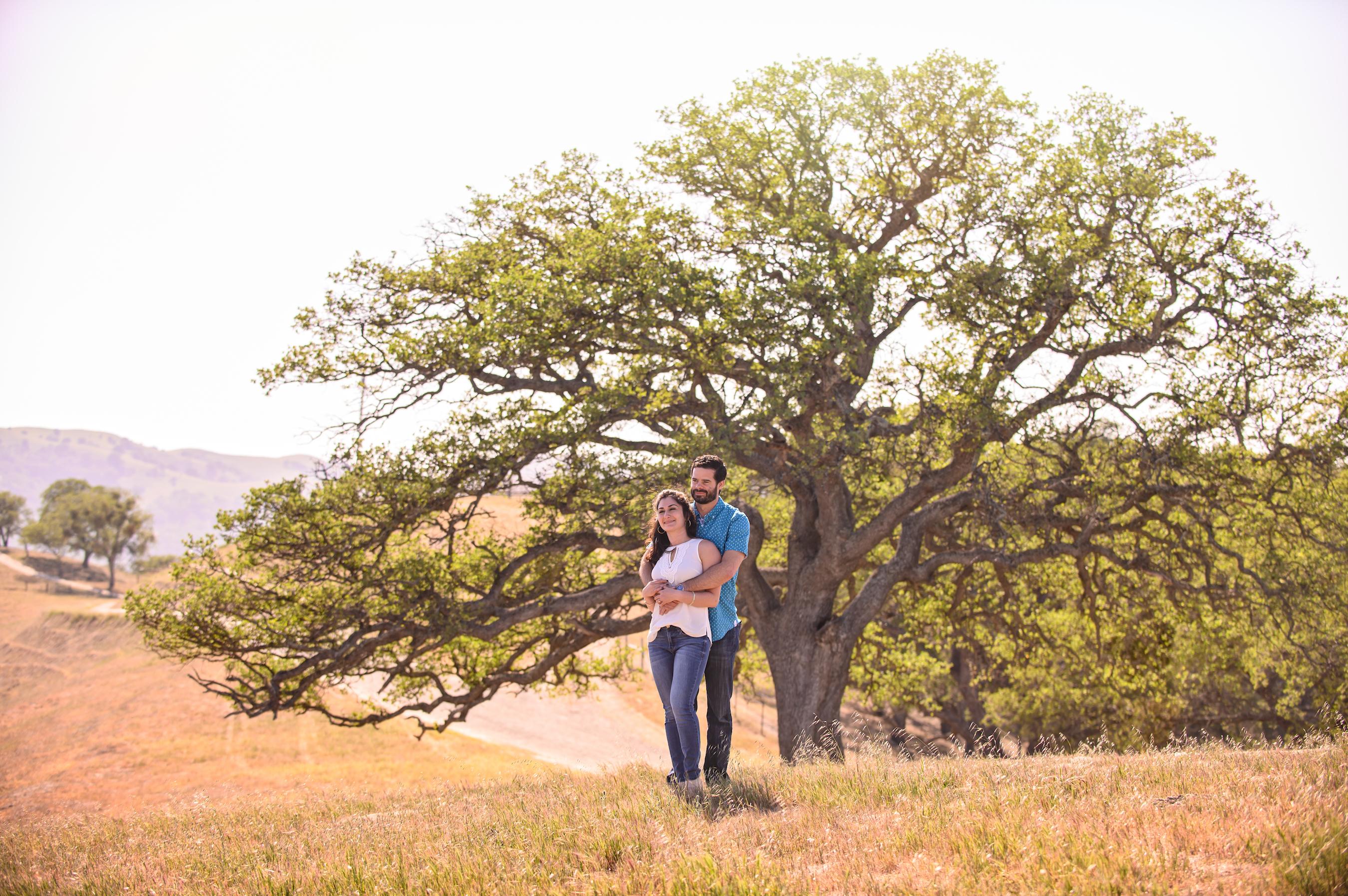 The Wedding Website of Kimia Mashouf and Nathaniel Cavicchi