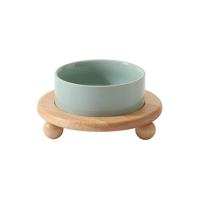 Havniva Ceramic Elevated Cat Food and Water Bowl , Kitty Bowl , Raised Cat Dish , Cat Feeder (1 x Light Green + Stand)