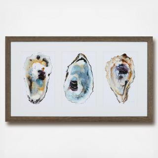 Oyster Shimmer Print