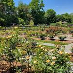 Reynolda Gardens-Wake Forest