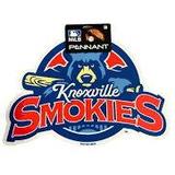 Smokies Baseball Game at Covenant Health Park